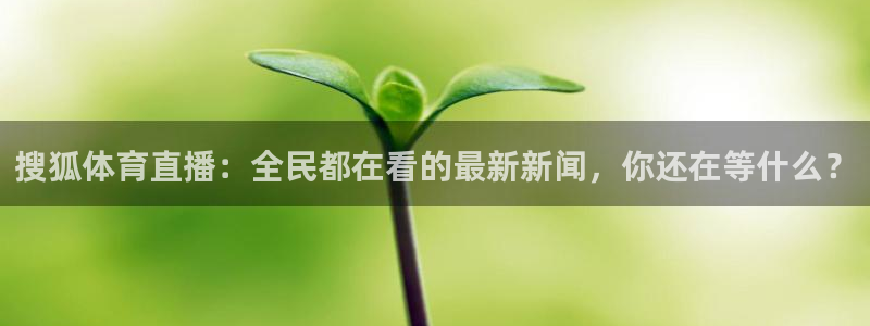 新闻图片