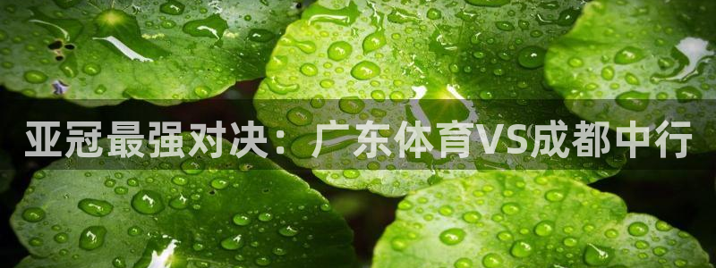 亚冠最强对决：广东体育VS成都中行