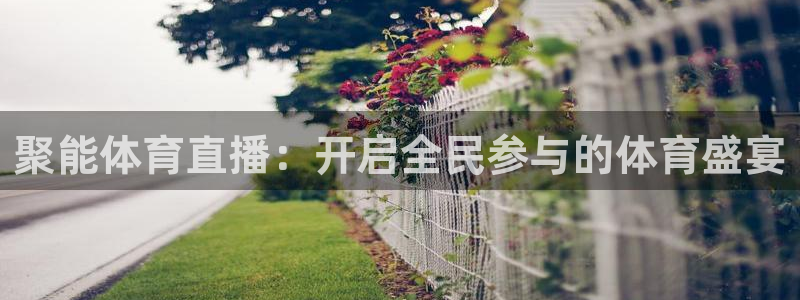 聚能体育直播：开启全民参与的体育盛宴